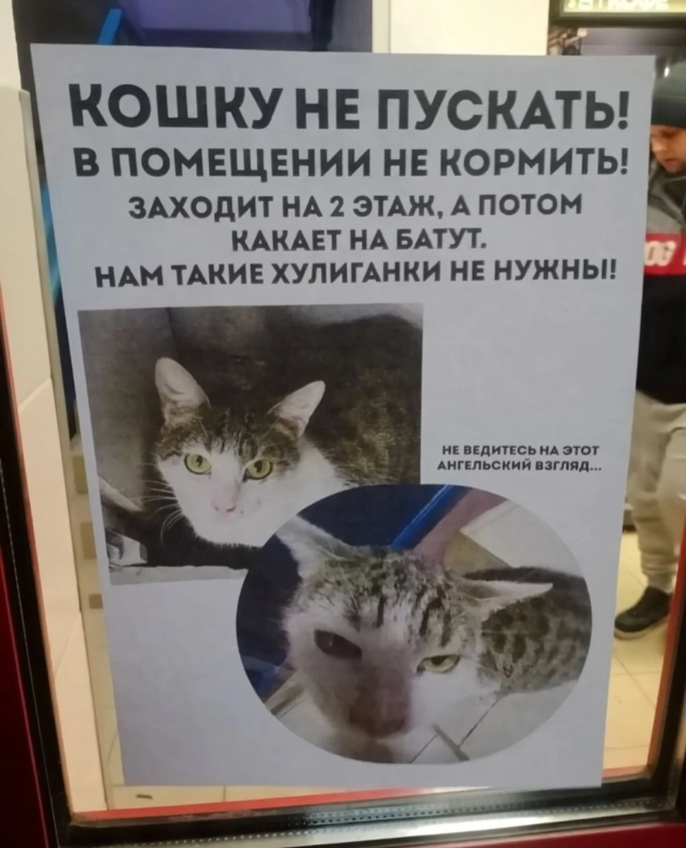 Интернет мемы на утро пятницы и Старая Зеландия 