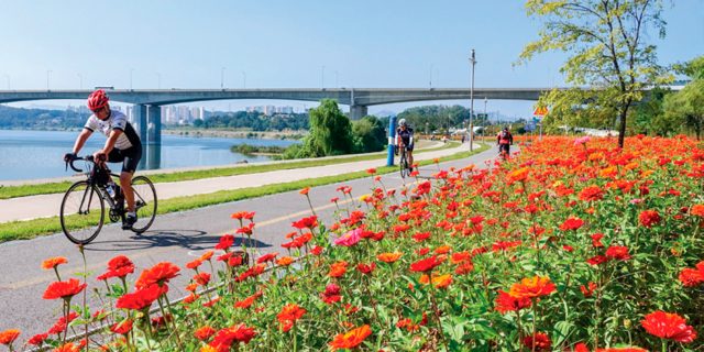 Чем заняться в Стране утренней свежести: 13 идей для отпуска в Южной Корее можно, Кореи, Чеджудо, спорта, маршрута, Здесь, находится, только, Хэпхаран, Сеула, здесь, отдыха, тхэквондо, вдоль, сложности, местные, прогулок, пляжа, также, «олле»