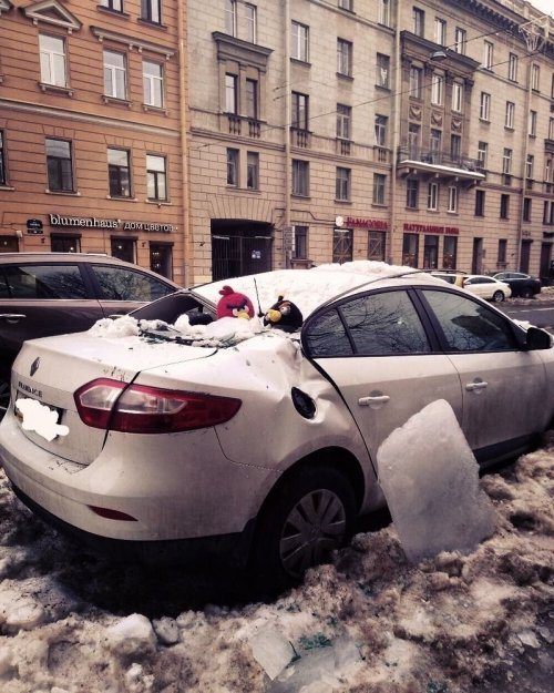 Автоприкольные картинки дня 