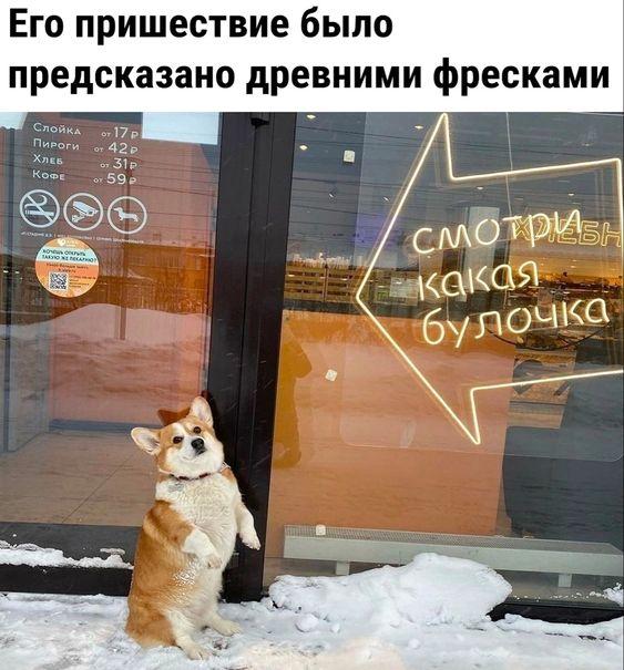 Подборка лучших картинок Подборка лучших картинок