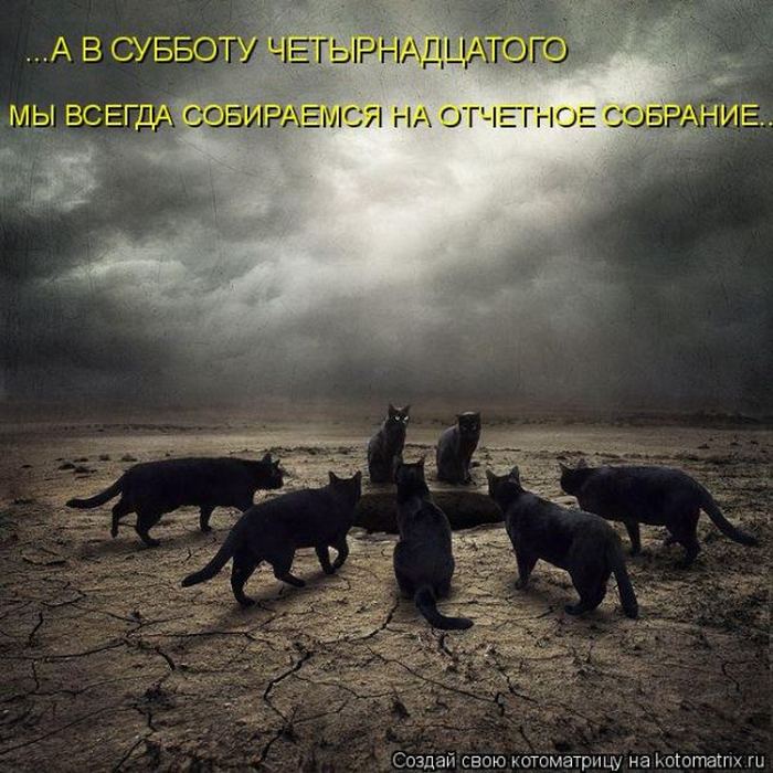 Мысли вслух :)
