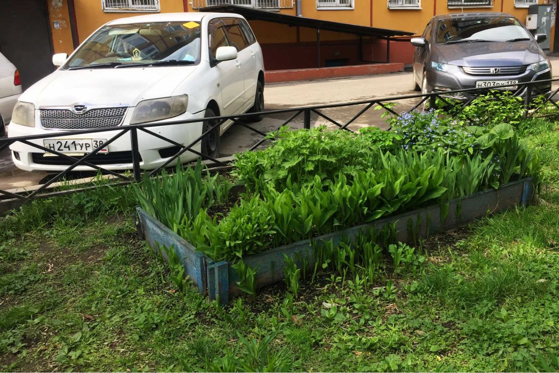 Что делать, если двор захватили покрышки покрышки, города, Иркутска, покрышек, благоустройства, территории, чтобы, нужно, можно, использовать, только, клумб, малых, например, архитектурных, будет, автомобильных, просто, качестве, администрация