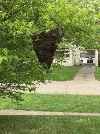 Забавная подборка дня Забавная подборка дня