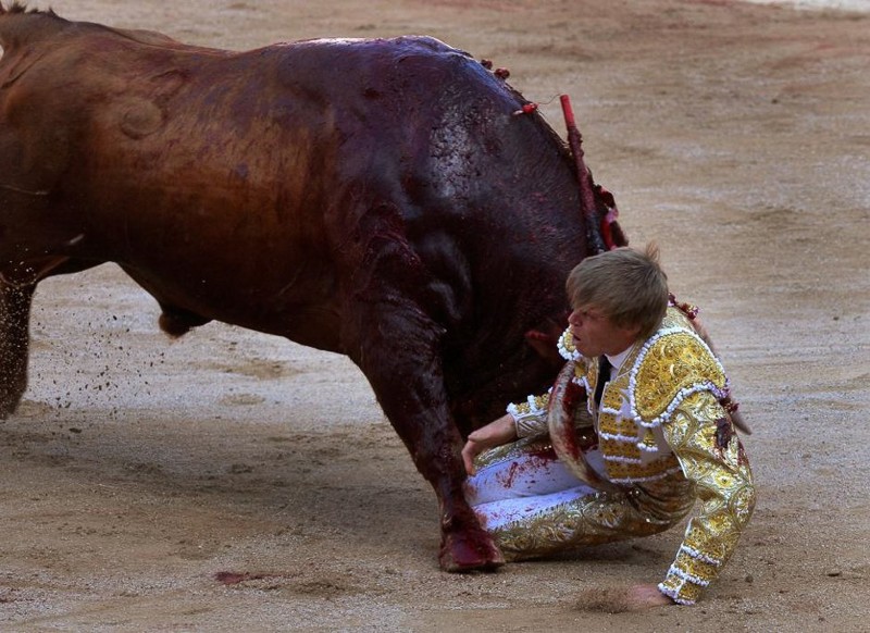  Тореадор Хавьер Химинес проиграл быку. Фестиваль Сан-Фермин, Памплоне, Испания, июль 2016. животные, люди