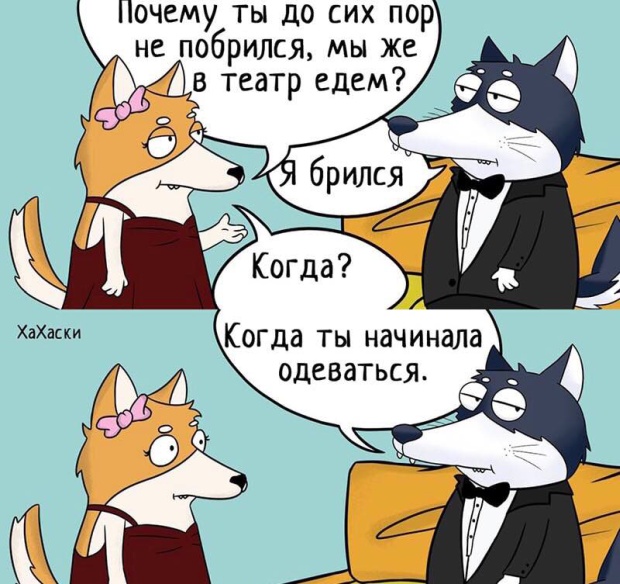 Фотоподборка четверга 