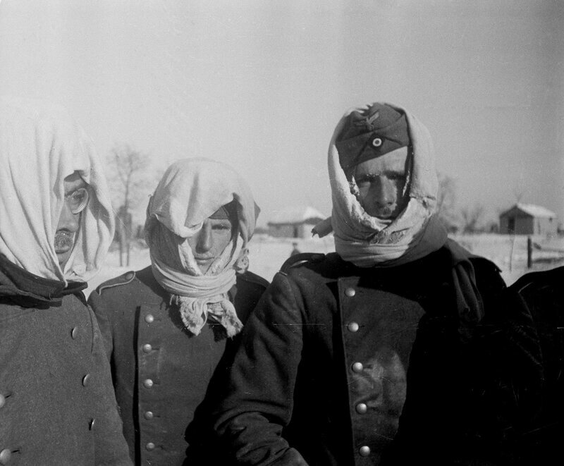 Россия выслала дипломатов: посланные послами Россия выслала дипломатов: посланные послами