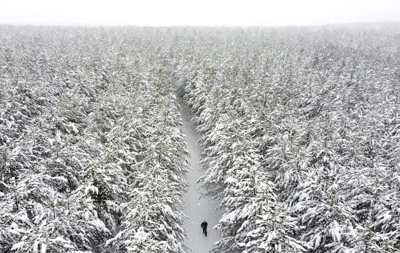 Красивая зима 2022 животные,природа,Путешествия,фото