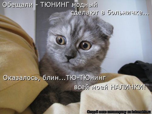 Лучшая котоматрица недели на 17 марта Лучшая котоматрица недели на 17 марта