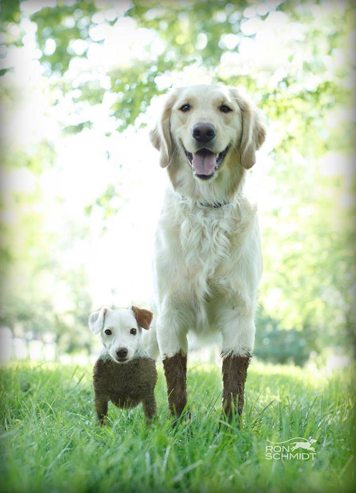 Веселые картинки и забавные фото с надписью из нашей жизни Веселые картинки и забавные фото с надписью из нашей жизни картинки с надписями,приколы,смешные комментарии,юмор