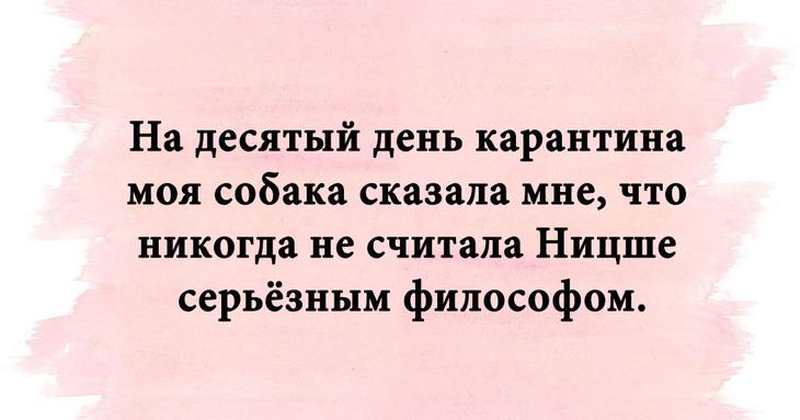 Смешные надписи для чудесного настроения Смешные надписи для чудесного настроения
