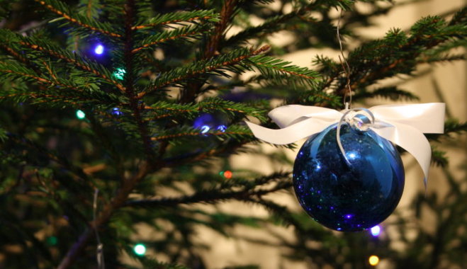 12 секретов, которые нужно знать при покупке рождественской елки новый год и рождество
