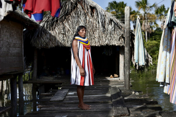 Варао: считают до пяти, плавают с пираньями и не желают ходить в школу