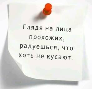 Некоторые как почувствуют за спиной крылья, сразу начинают каркать Некоторые как почувствуют за спиной крылья, сразу начинают каркать веселые картинки