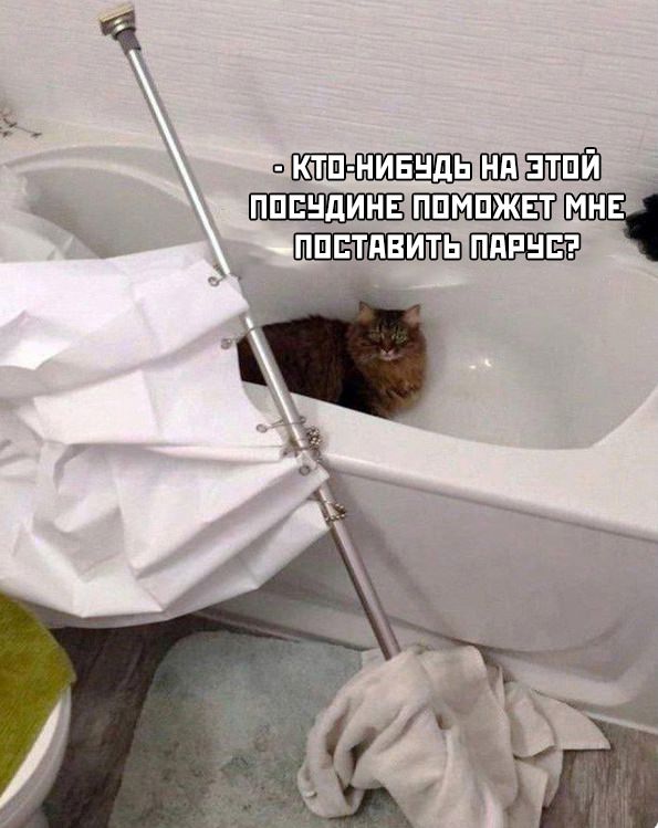 Хорошо погуляли — это когда хочется начать новую жизнь. В новом городе, под новым именем.... 