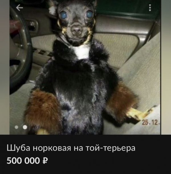 Смешные объявления из Интернета Смешные объявления из Интернета позитив,смешные картинки,юмор