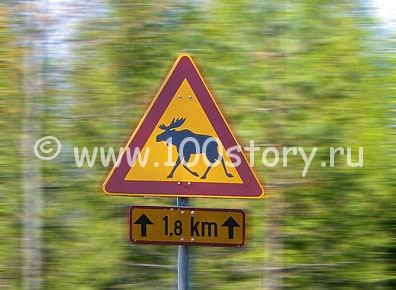 Лось в мобильнике