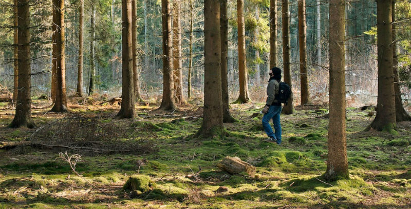 Фотография: 23 неизвестных факта о нашем мире, которые заставят вас задуматься №1 - BigPicture.ru