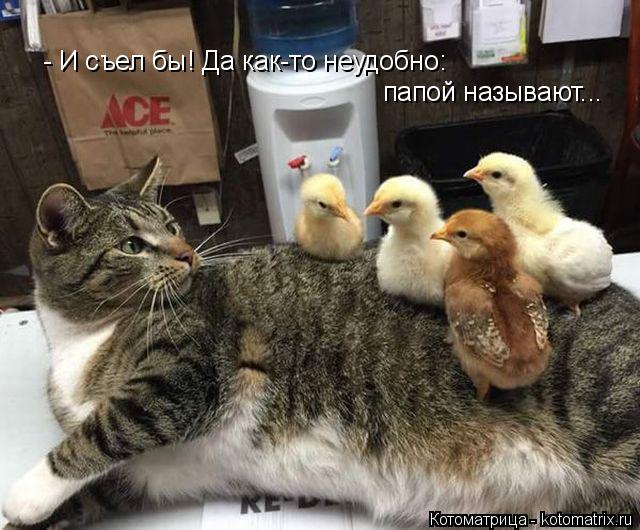 Плесень размножается спорами. Не спорьте с плесенью! Плесень размножается спорами. Не спорьте с плесенью! анекдоты,веселые картинки,приколы,юмор