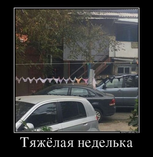 Прикольные демотиваторы (13 шт)