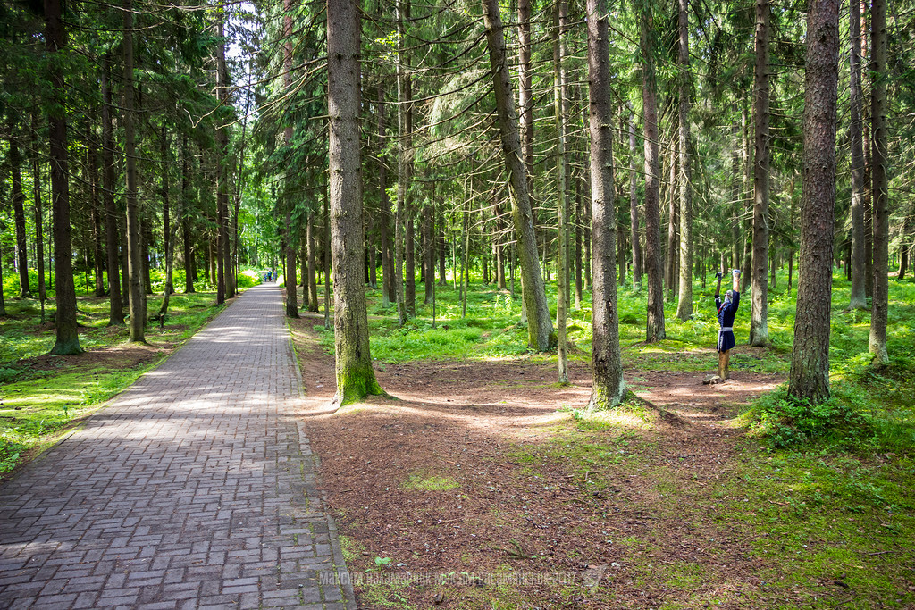 Репино санкт петербург фото. Репино парк. Репино Комарово. Поселок Репино Санкт-Петербург. Репина парк Санкт-Петербург.