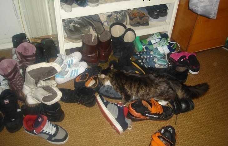 Но есть все-таки один плюс, вернее несколько когда же вы уедете, приехали погостить, родственники