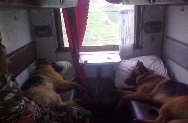 Забавные фотографии и картинки из нашей жизни Смешные картинки и фото приколы