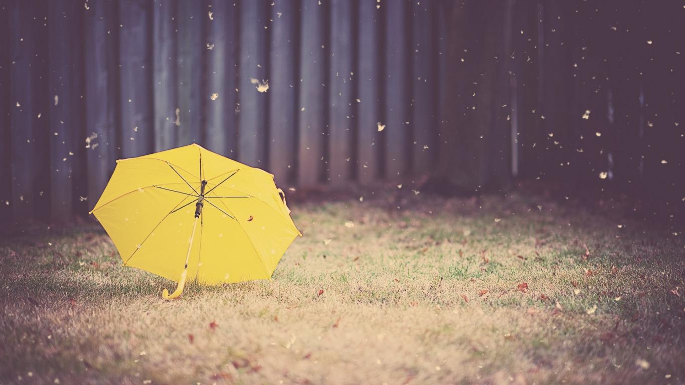 umbrella-14479-15101-hd-wallpapers