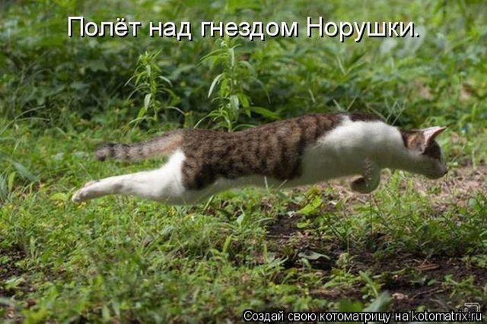 Мысли вслух :)