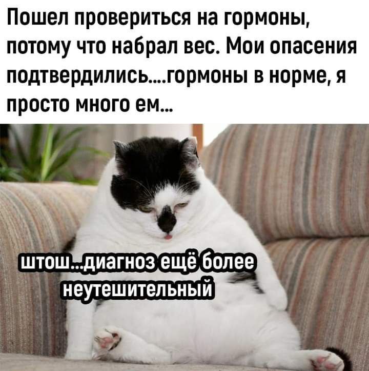 Шуточки которые скрасят ваш день! 