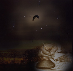 одинокий гусь