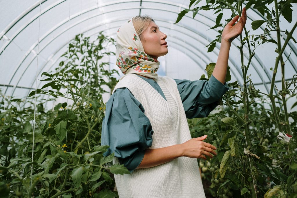 Еда будущего: пять перспективных стартапов в области устойчивого питания