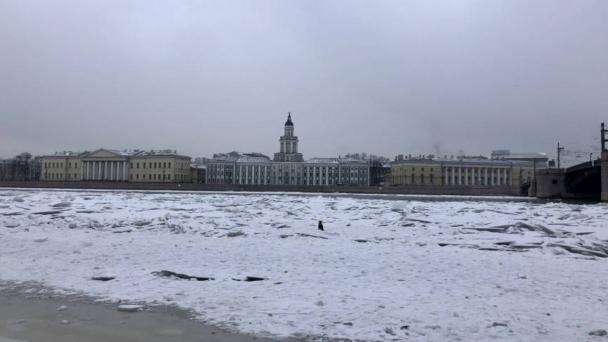 Нырнувшие в Неву люди оказались профессиональными пловцами