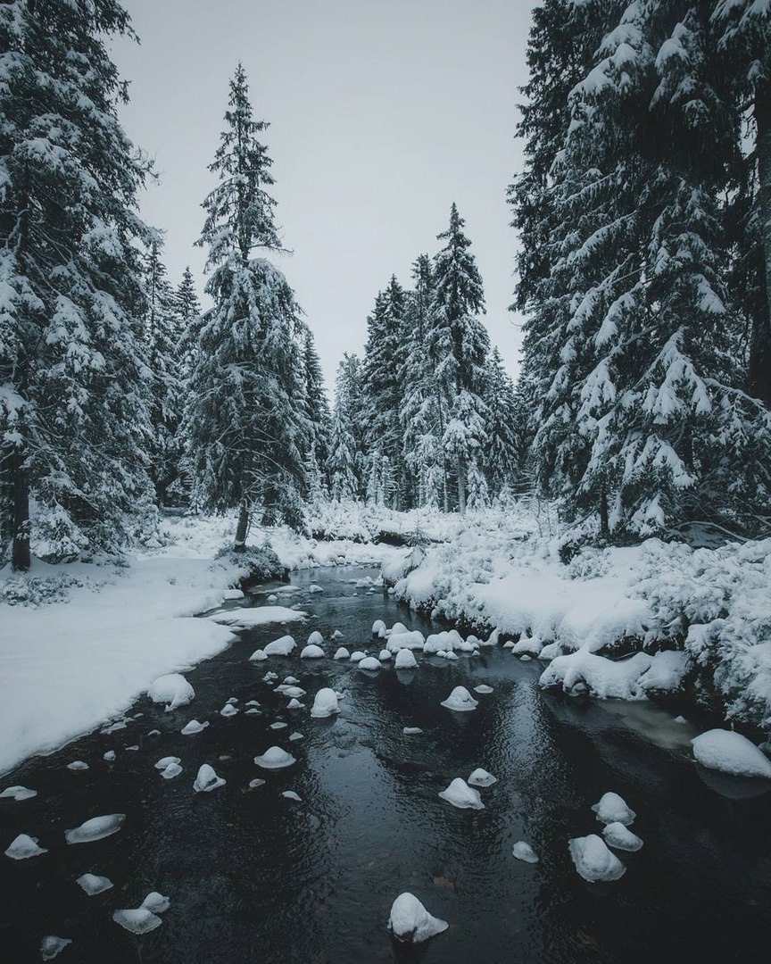 Классные зимние фотографии 