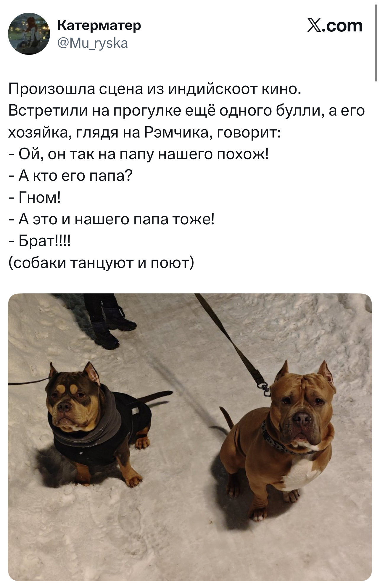 Смешной твит