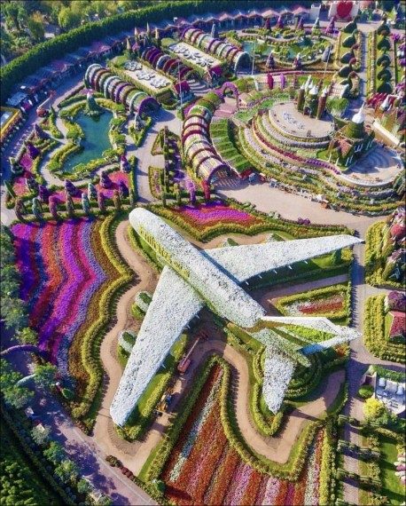 Позитив сплошь и рядом Позитив сплошь и рядом