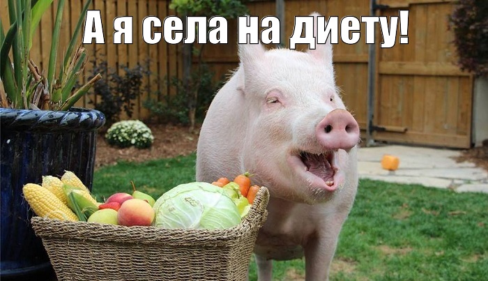 Смешные эксклюзивные картинки Смешные эксклюзивные картинки картинки,прикол,юмор
