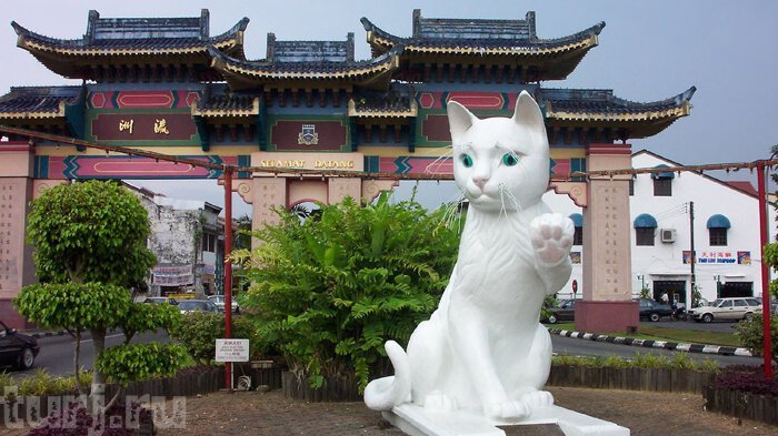 7 удивительных мест, которые определённо понравятся любителям котиков достопримечательности,котики,отдых и туризм