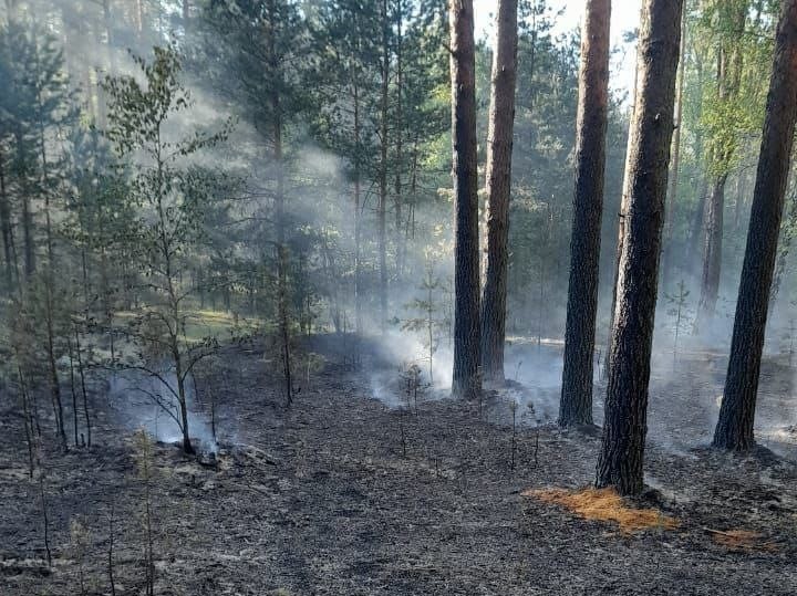 В 35 муниципалитетах Тверской области введён особый противопожарный режим