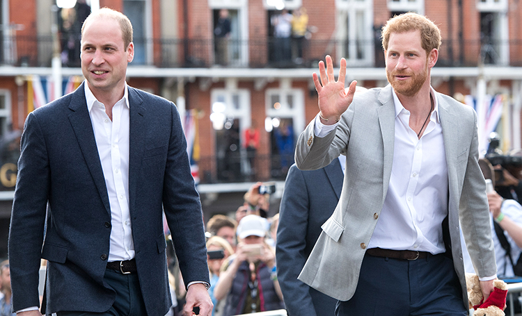 СМИ: принц Гарри и принц Уильям выступят отдельно на открытии памятника принцессе Диане Монархи,Британские монархи