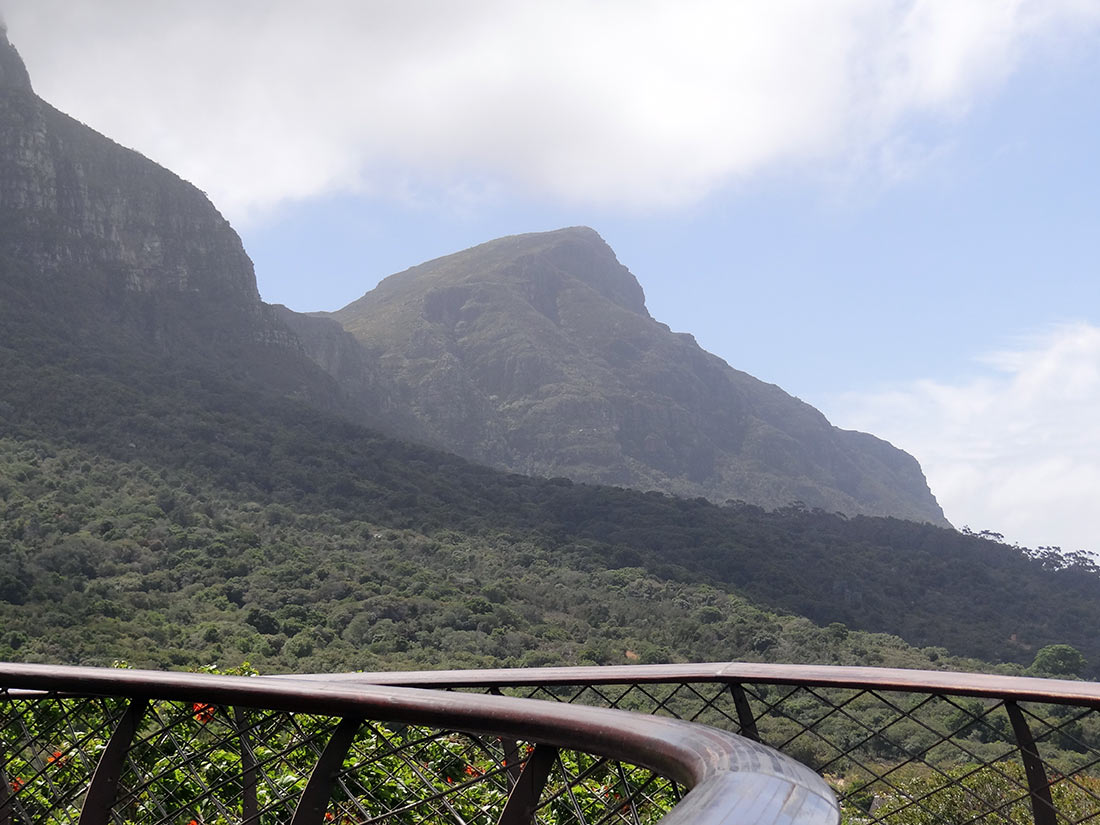 Сказочная дорога над деревьями — одно из самых уникальных мест в Кейптауне Сказочная дорога над деревьями — одно из самых уникальных мест в Кейптауне авиатур