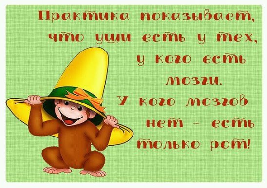 У знакомых заболел хомяк, лежит не встаёт... У знакомых заболел хомяк, лежит не встаёт...