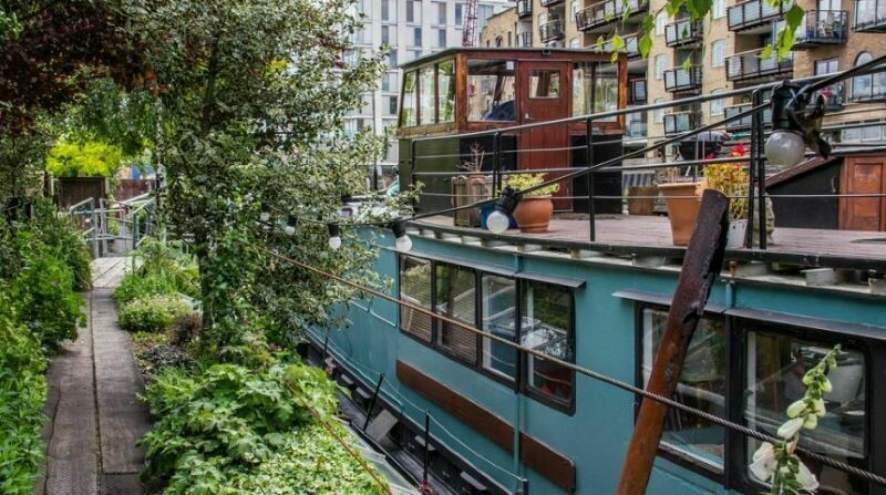 4 самых необычных места на планете, где выращивают растения 4 самых необычных места на планете, где выращивают растения зелень,планета,растения