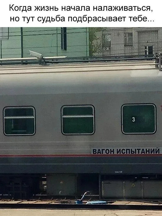 Интернет мемы на утро пятницы и Старая Зеландия 