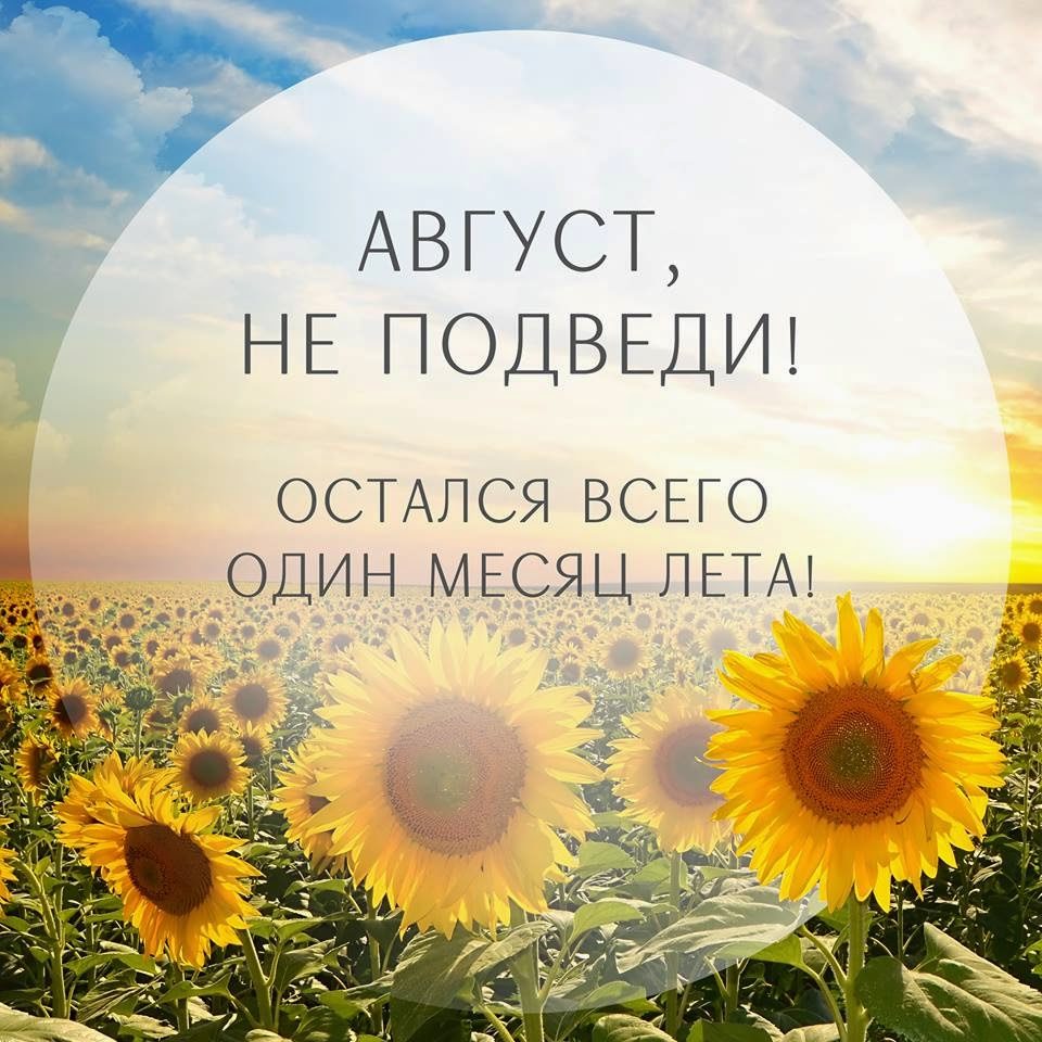 Отличные шутки и классные анекдоты