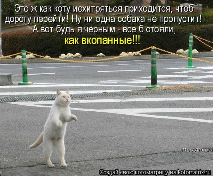 Мысли вслух :)