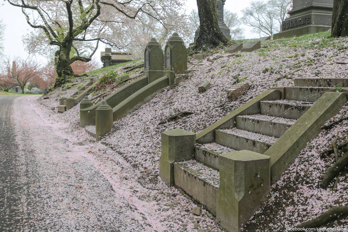 Какая умопомрачительная весна на Гринвудском кладбище