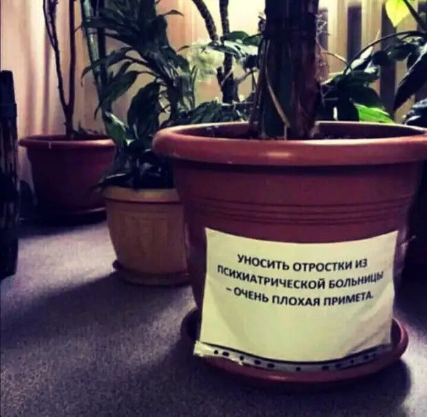 Я не говорю, что качки тупые, но просто прислушайтесь: боДИБИЛдер г,Омск [958142],город Омск г,о,[95245456],Омская обл,[958105]