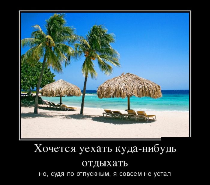 Зачетные и забавные демотиваторы из сети со смыслом демотиваторы свежие,приколы,смешные демотиваторы,юмор