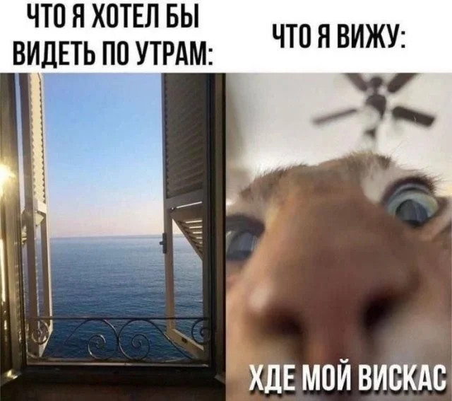 Юмор для тех, кто уже повзрослел и понял, что «маркетплейс» — это ловушка для зарплаты Юмор для тех, кто уже повзрослел и понял, что «маркетплейс» — это ловушка для зарплаты