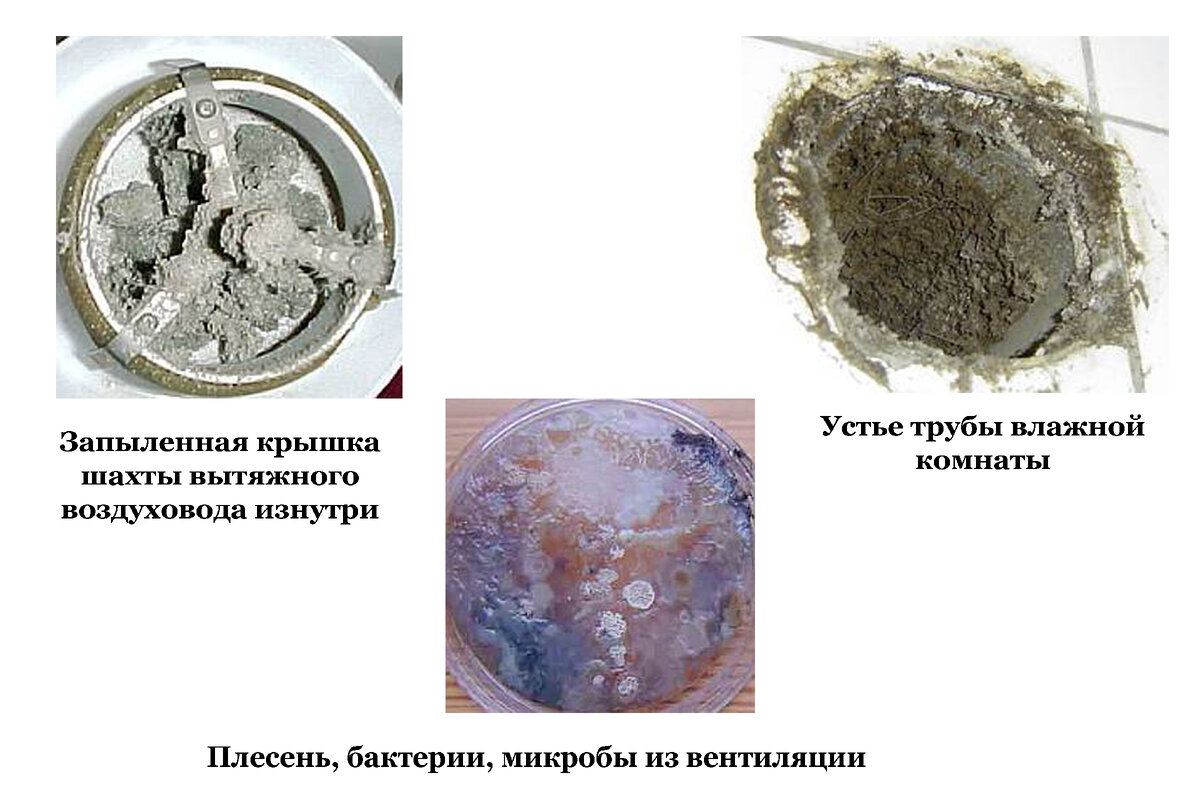 Обратная сторона повального наружного утепления стен зданий, как существенный повод, задуматься о целесообразности такого утепления идеи для дома,ремонт и строительство